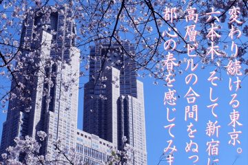 遊々さんぽ　「桜びより」 Vol.02