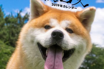 秋田犬　2019年カレンダー