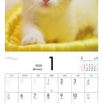 ニャンころりん。子猫カレンダー4 002