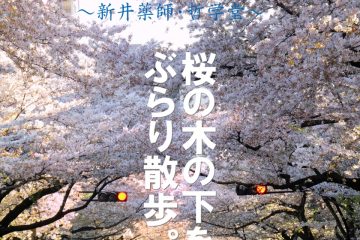 Tokyo Cherry Blossom　東京の桜 ～新井薬師・哲学堂～