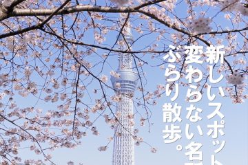 Tokyo Cherry Blossom　東京の桜 ～浅草・上野～
