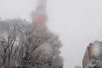 遊々さんぽ　「東京の雪日和」