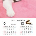 ブサかわいい猫 週めくりカレンダーMOOK 005