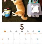 柴犬アイちゃんの寝相アートカレンダー2018 002