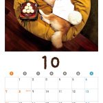柴犬アイちゃんの寝相アートカレンダー2018 003