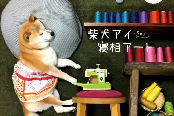 柴犬アイちゃんの寝相アートカレンダー2018