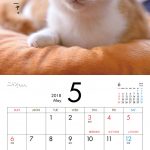 ニャンころりん。子猫カレンダー2018年版 002