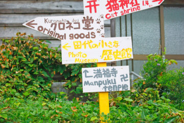 田代島のニャンころりん。 004