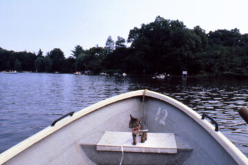 サラリーニャン悶太郎 006