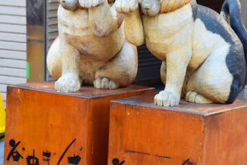 谷根千散歩のねこ 001