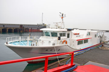 青島のニャンころりん。 001