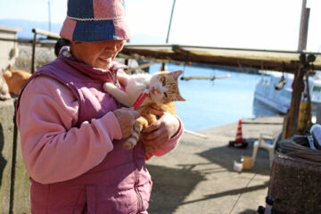 青島のニャンころりん。 012